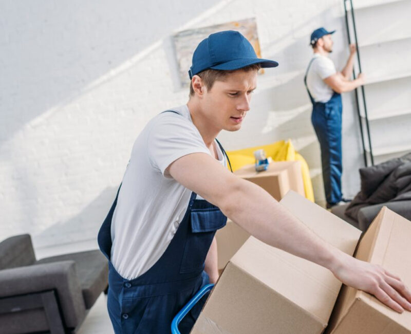 How Professional Packers and Movers Simplify the Process